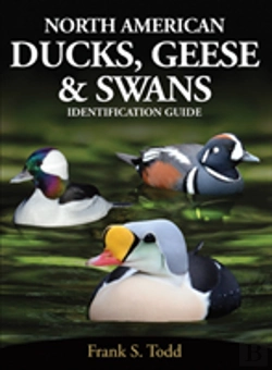 Bertrand.pt - North American Ducks, Geese And Swans