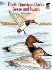 North American Ducks, Geese And Swans