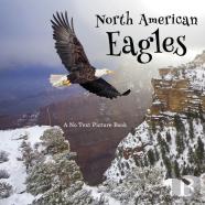 North American Eagles, A No Text Picture Book