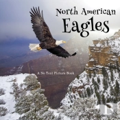 North American Eagles, A No Text Picture Book