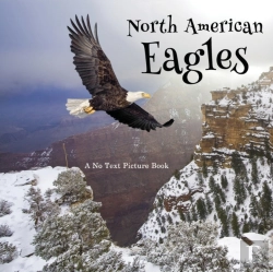 Bertrand.pt - North American Eagles, A No Text Picture Book