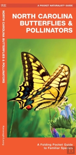 Bertrand.pt - North Carolina Butterflies & Pollinators