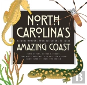 North Carolina'S Amazing Coast