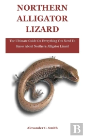 Northern Alligator Lizard