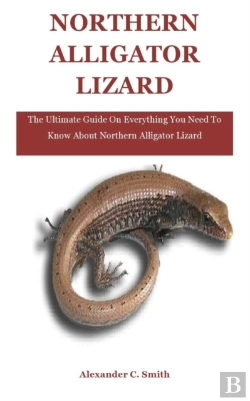 Bertrand.pt - Northern Alligator Lizard