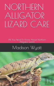 Northern Alligator Lizard Care