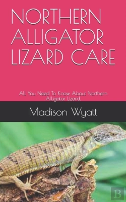 Bertrand.pt - Northern Alligator Lizard Care