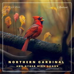 Bertrand.pt - Northern Cardinal And Other Bird Songs