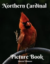 Northern Cardinal Picture Book