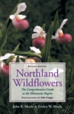 Bertrand.pt - Northland Wildflowers