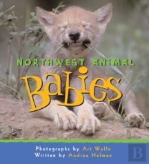 Northwest Animal Babies