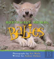 Northwest Animal Babies