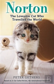 Norton, The Loveable Cat Who Travelled The World
