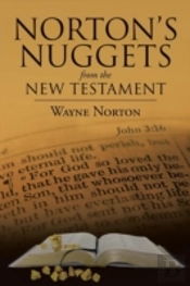 Norton'S Nuggets From The New Testament