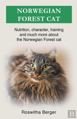 Bertrand.pt - Norwegian Forest Cat