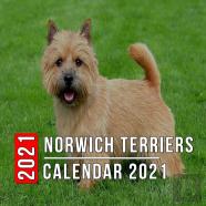 Norwich Terriers Calendar 2021