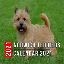Bertrand.pt - Norwich Terriers Calendar 2021