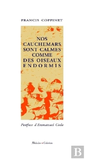 Nos Cauchemars Sont Calmes Comme Des Oiseaux Endormis