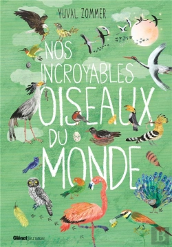Bertrand.pt - Nos Incroyables Documentaires - Nos Incroyables Oiseaux Du Monde