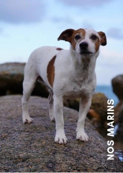 Bertrand.pt - Nos Marins