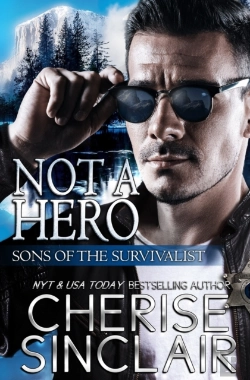 Bertrand.pt - Not A Hero