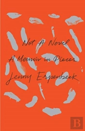 Not A Novel 8211 A Memoir In Pieces