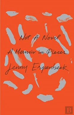 Bertrand.pt - Not A Novel 8211 A Memoir In Pieces