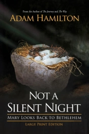 Not A Silent Night (Large Print)