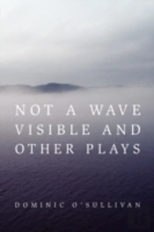 Not A Wave Visible And Other Plays