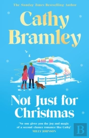 Not Just For Christmas