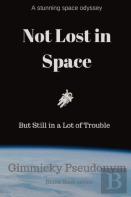 Not Lost In Space But Still In A Lot Of Trouble