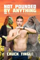 Not Pounded By Anything Vol. 2