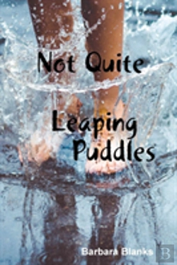 Bertrand.pt - Not Quite Leaping Puddles