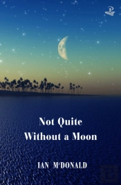 Not Quite Without A Moon