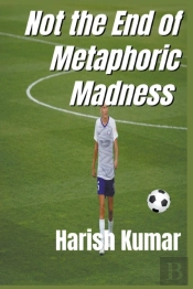 Not The End Of Metaphoric Madness