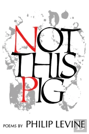 Not This Pig