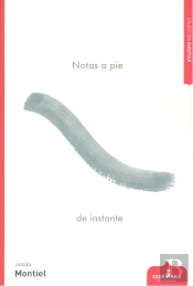 Notas A Pie De Instante