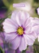 Notebook Pink Cosmos