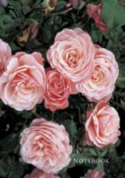 Bertrand.pt - Notebook Rose