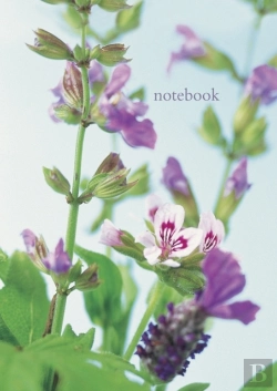 Bertrand.pt - Notebook: Scented Geranium