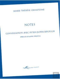 Bertrand.pt - Notes ; Conversation Avec Peter Downsbrough