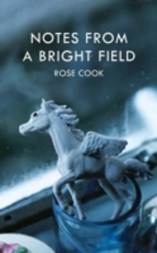 Notes From A Bright Field