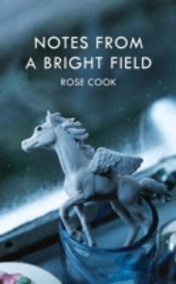 Bertrand.pt - Notes From A Bright Field