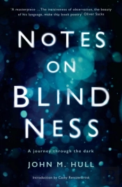 Notes On Blindness
