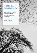 Notes On Complexity