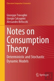 Notes On Consumption Theory