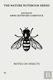 Notes On Insects