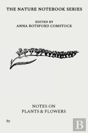 Notes On Plants And Flowers