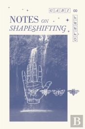 Notes On Shapeshifting