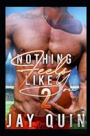 Nothing Feels Like You 2